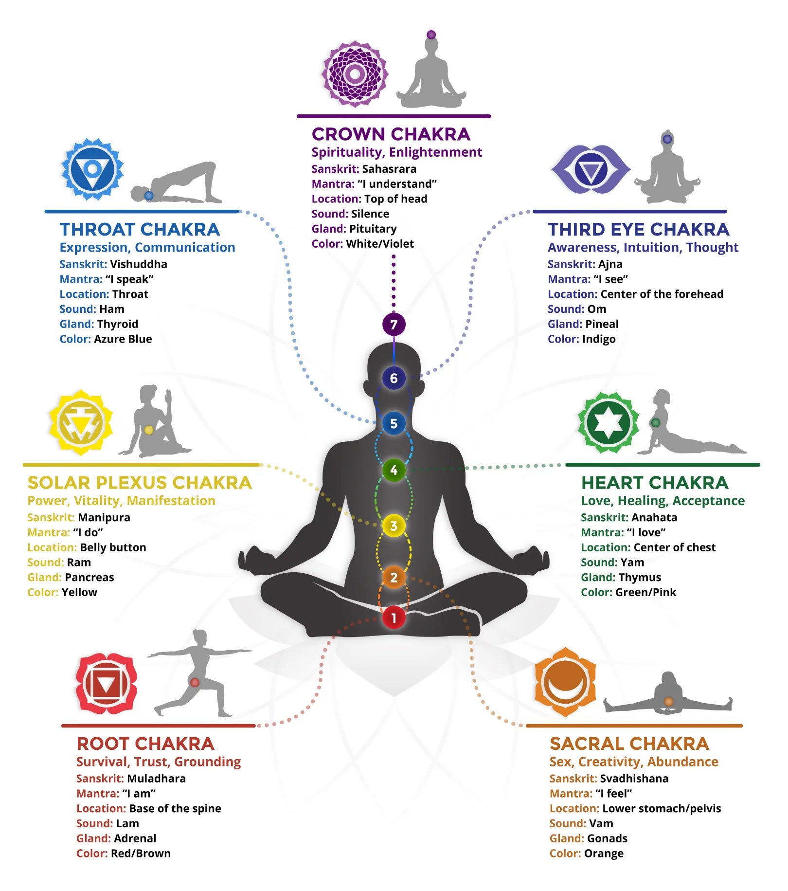 THE SUPER 7 CHAKRA CRYSTAL WITH LAVA STONE